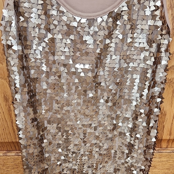 Charlotte Russe Shimmering Gold Sequin Tank Top - Picture 4 of 5